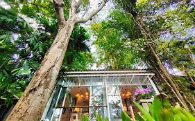 Rain Forest Resort
