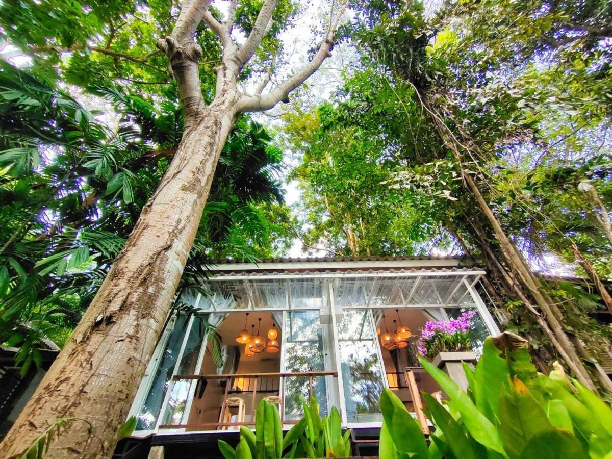 Rain Forest Resort Ban Pak Yang Exterior photo