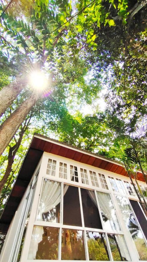 Rain Forest Resort Ban Pak Yang Exterior photo